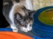 Thumbs/tn_!cid_C46096C6-C719-451B-B2B9-0D6F6173F94B.jpg