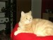 Thumbs/tn_PIC02884.jpg