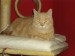 Thumbs/tn_PIC02939.jpg