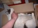 Thumbs/tn_611.jpg