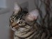 Thumbs/tn_Aramis-7.jpg