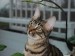 Thumbs/tn_Aramis-8.jpg