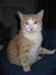 Thumbs/tn_Reno_2009-4.jpg