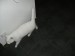 Thumbs/tn_image100003.jpg