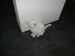 Thumbs/tn_image100004.jpg