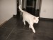 Thumbs/tn_image100005.jpg