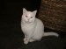 Thumbs/tn_image100008.jpg