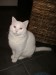 Thumbs/tn_image100009.jpg