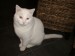 Thumbs/tn_image100010.jpg