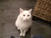 Thumbs/tn_image100012.jpg