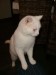 Thumbs/tn_image100014.jpg