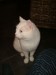 Thumbs/tn_image100015.jpg