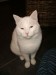 Thumbs/tn_image100016.jpg