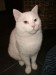 Thumbs/tn_image100017.jpg