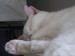 Thumbs/tn_P1180409.jpg