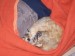 Thumbs/tn_100_2289.jpg