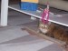 Thumbs/tn_100_2443.jpg