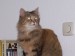 Thumbs/tn_Bonny2.jpg
