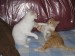 Thumbs/tn_Gina-Mimi-03.jpg