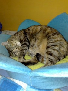 ../Images/20090618.jpg
