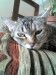 Thumbs/tn_20070605.jpg
