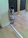 Thumbs/tn_20070716.jpg