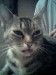 Thumbs/tn_20070829.jpg