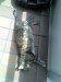 Thumbs/tn_20080702.jpg