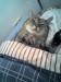 Thumbs/tn_20080909.jpg