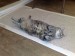 Thumbs/tn_20090628.jpg