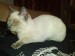 Thumbs/tn_25102008679.jpg