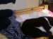 Thumbs/tn_021.jpg