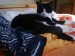 Thumbs/tn_023.jpg