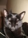 Thumbs/tn_IMG_0160.jpg