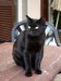 Thumbs/tn_Leon-Karina-Uschi-02.jpg