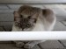 Thumbs/tn_Leon-Karina-Uschi-03.jpg