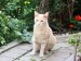 Thumbs/tn_Leon-Karina-Uschi-07.jpg