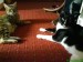 Thumbs/tn_DSC01580.jpg