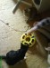 Thumbs/tn_DSC01645.jpg