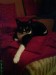 Thumbs/tn_DSC01856.jpg