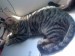 Thumbs/tn_hollystanley13.jpg
