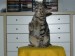 Thumbs/tn_hollystanley16.jpg