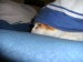 Thumbs/tn_BILD0682.jpg
