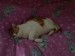 Thumbs/tn_PICT0063.jpg