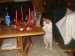 Thumbs/tn_SDC11484.jpg