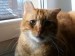 Thumbs/tn_Rojo-01.jpg