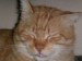 Thumbs/tn_Rojo-03.jpg