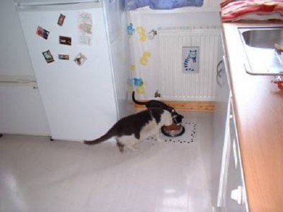 ../Images/!cid_image001_jpg@01C9FDA5.jpg