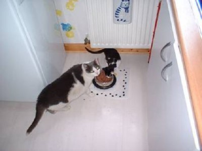 ../Images/!cid_image002_jpg@01C9FDA6.jpg