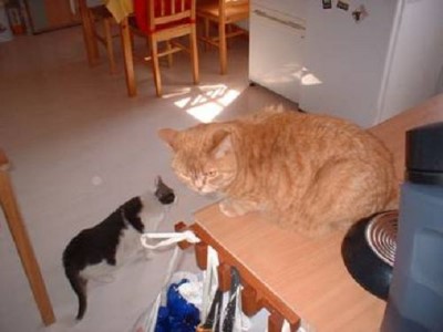 ../Images/!cid_image005_jpg@01C9FDA5.jpg